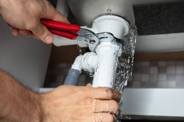 Best Ceiling water damage repair  in Battle Creek, NE