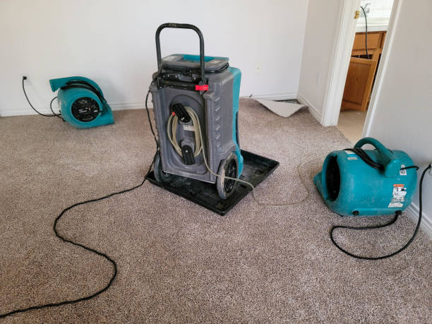 Best Water damage contractors near me  in Battle Creek, NE