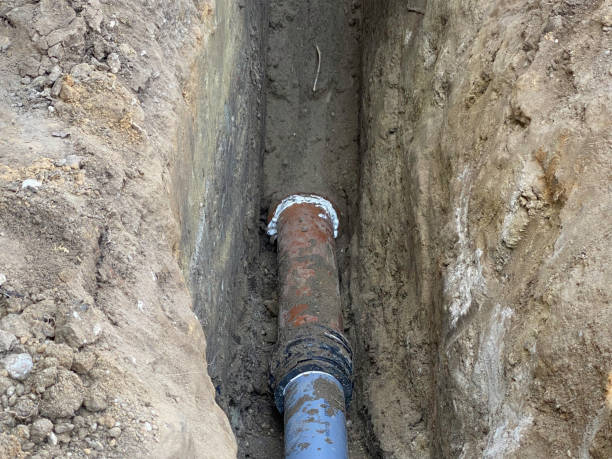 Best Flood restoration services  in Battle Creek, NE