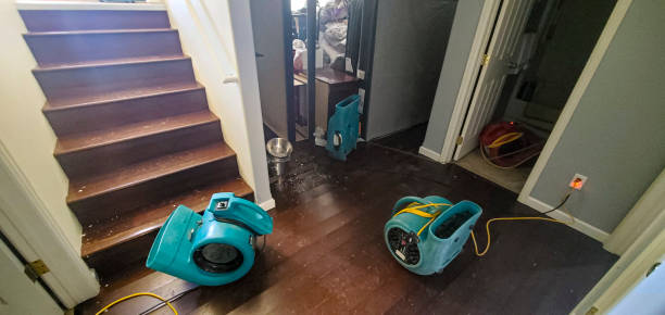 Water damage restoration process in NE