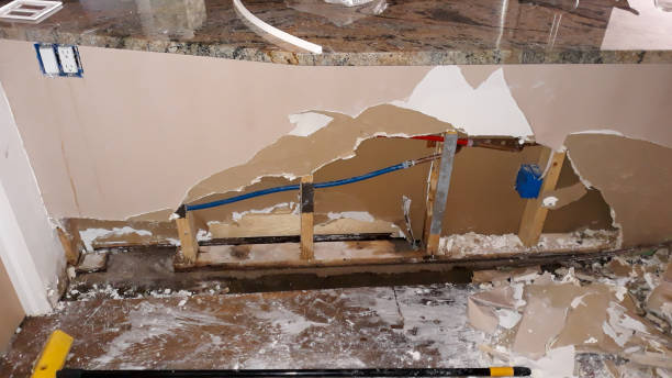  Battle Creek, NE Water damage restoration Pros