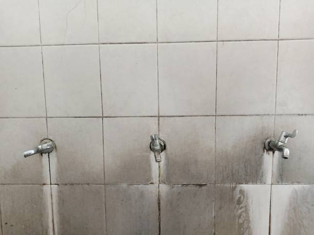 Best Sewage cleanup and water damage restoration  in Battle Creek, NE