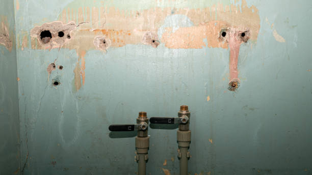 Best Mold removal after water damage  in Battle Creek, NE
