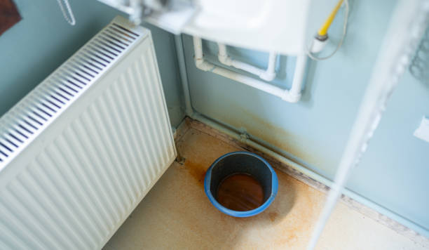Best Flood damage cleanup  in Battle Creek, NE