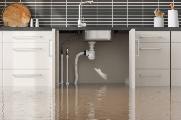 Best Water damage cleanup near me  in Battle Creek, NE