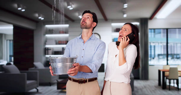 Best Water damage restoration near me  in Battle Creek, NE